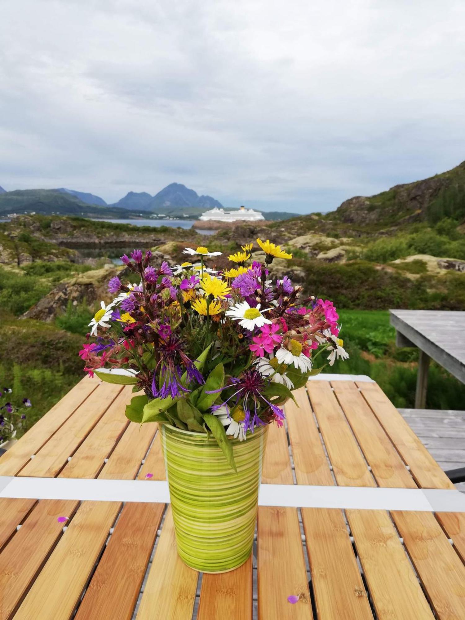 Unique private cabin in Lofoten Leknes Extérieur photo