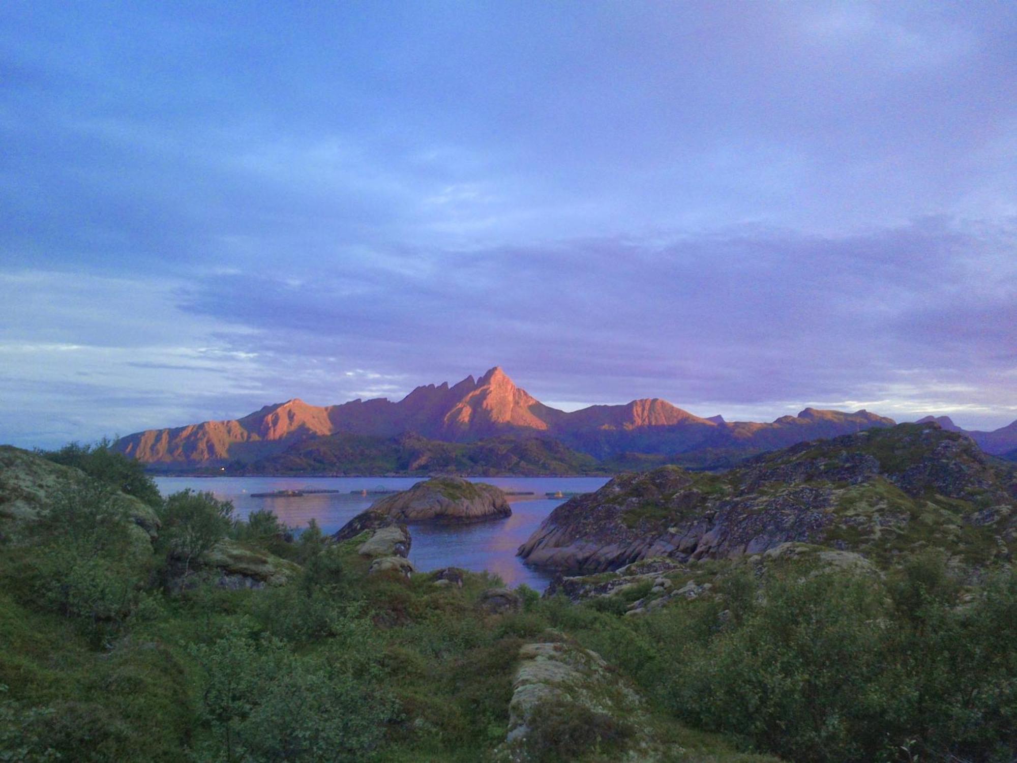 Unique private cabin in Lofoten Leknes Extérieur photo