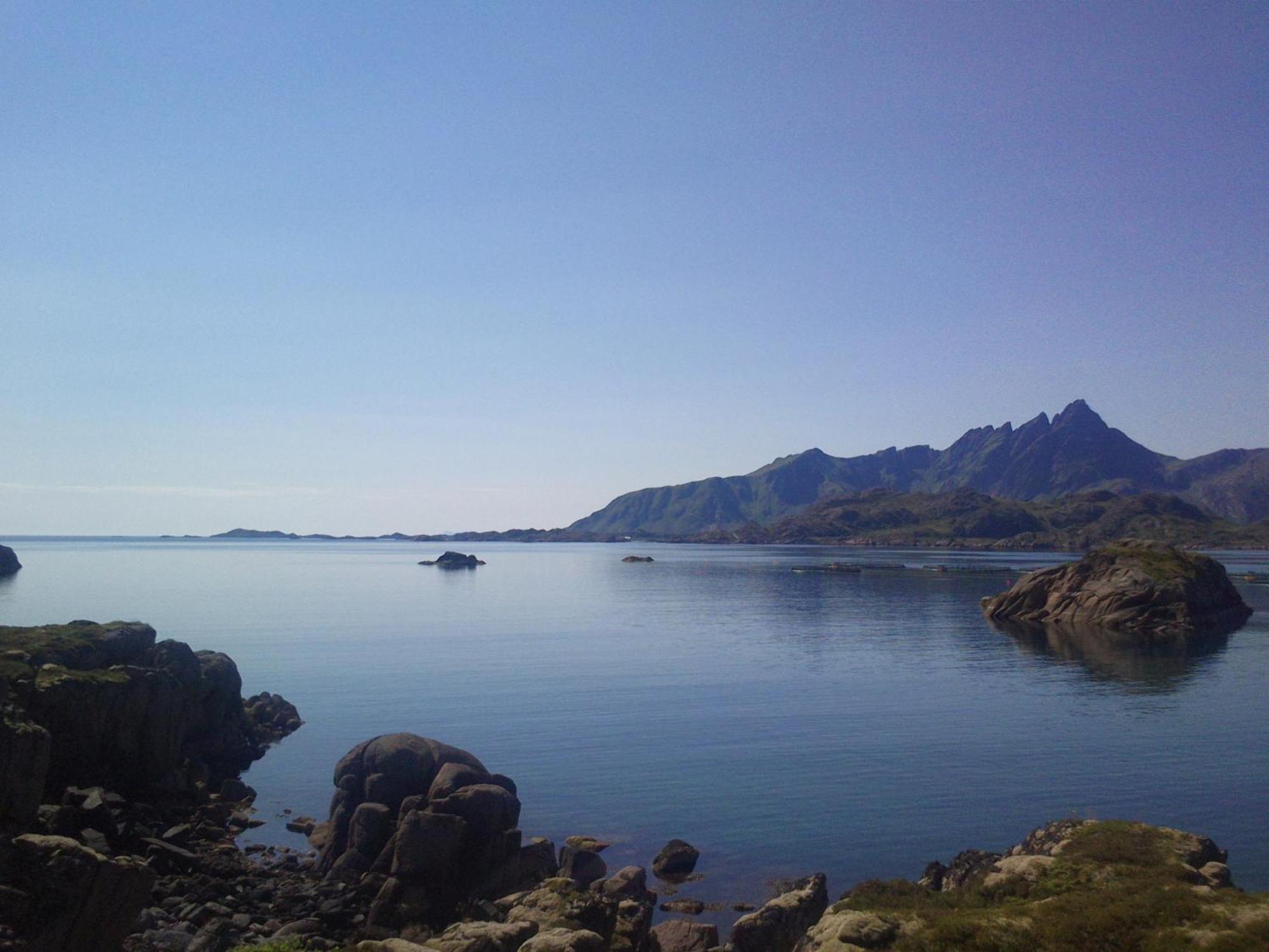 Unique private cabin in Lofoten Leknes Extérieur photo